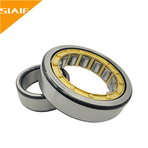 300/500度耐高温黄色蘑菇视频 NU2204