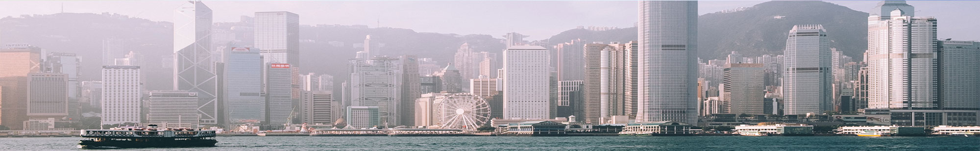 无锡高温黄色蘑菇视频